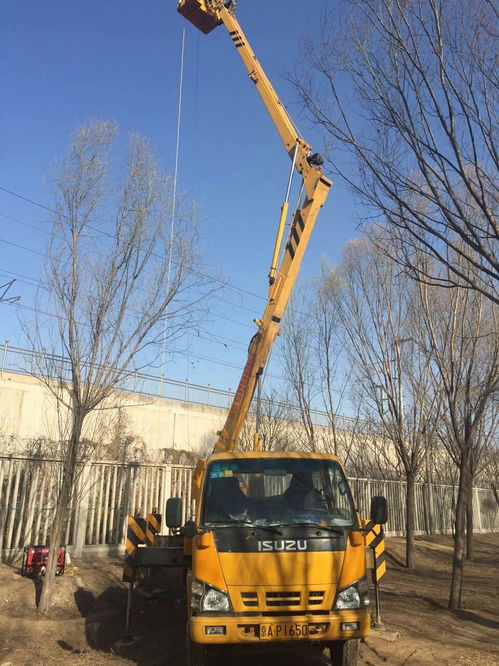 平谷区 升降机出租 租赁