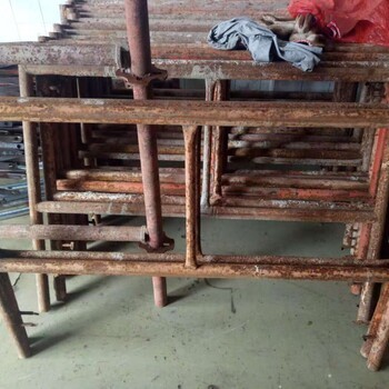 东莞脚手架出租与搭建服务 专业钢管与排栅管解决方案